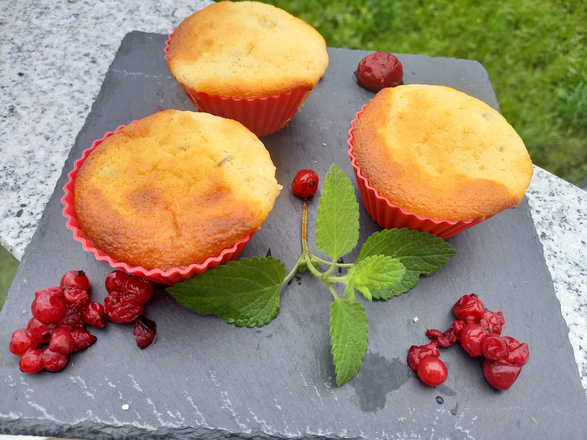 Rhabarbermuffins