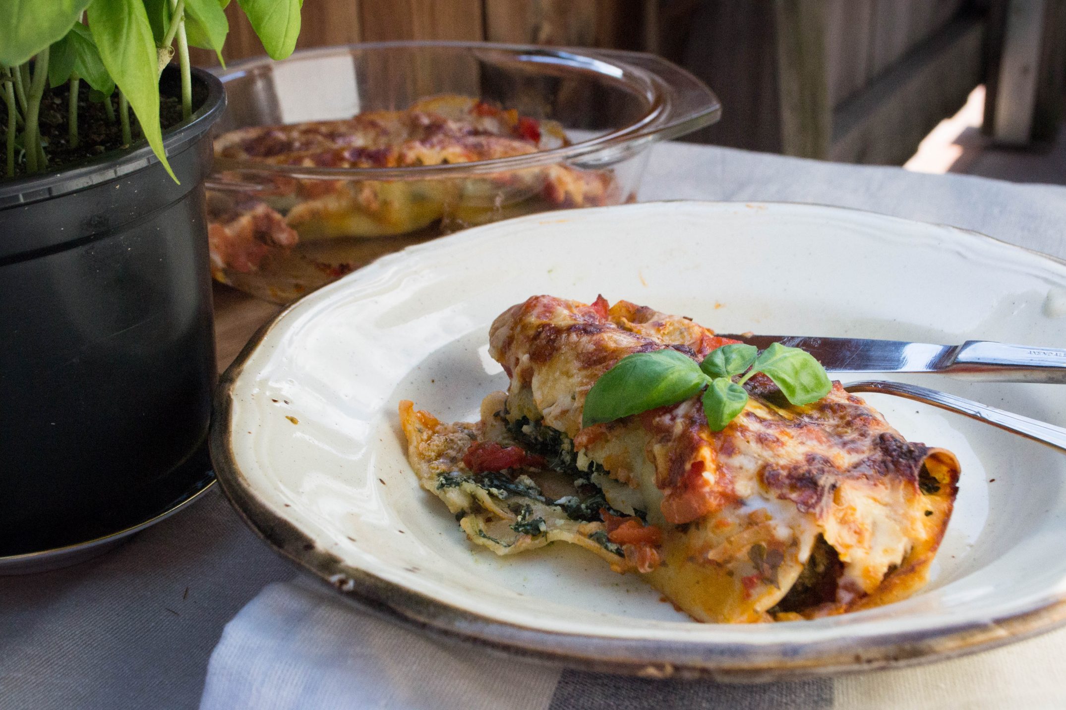 Cannelloni mit Spinat