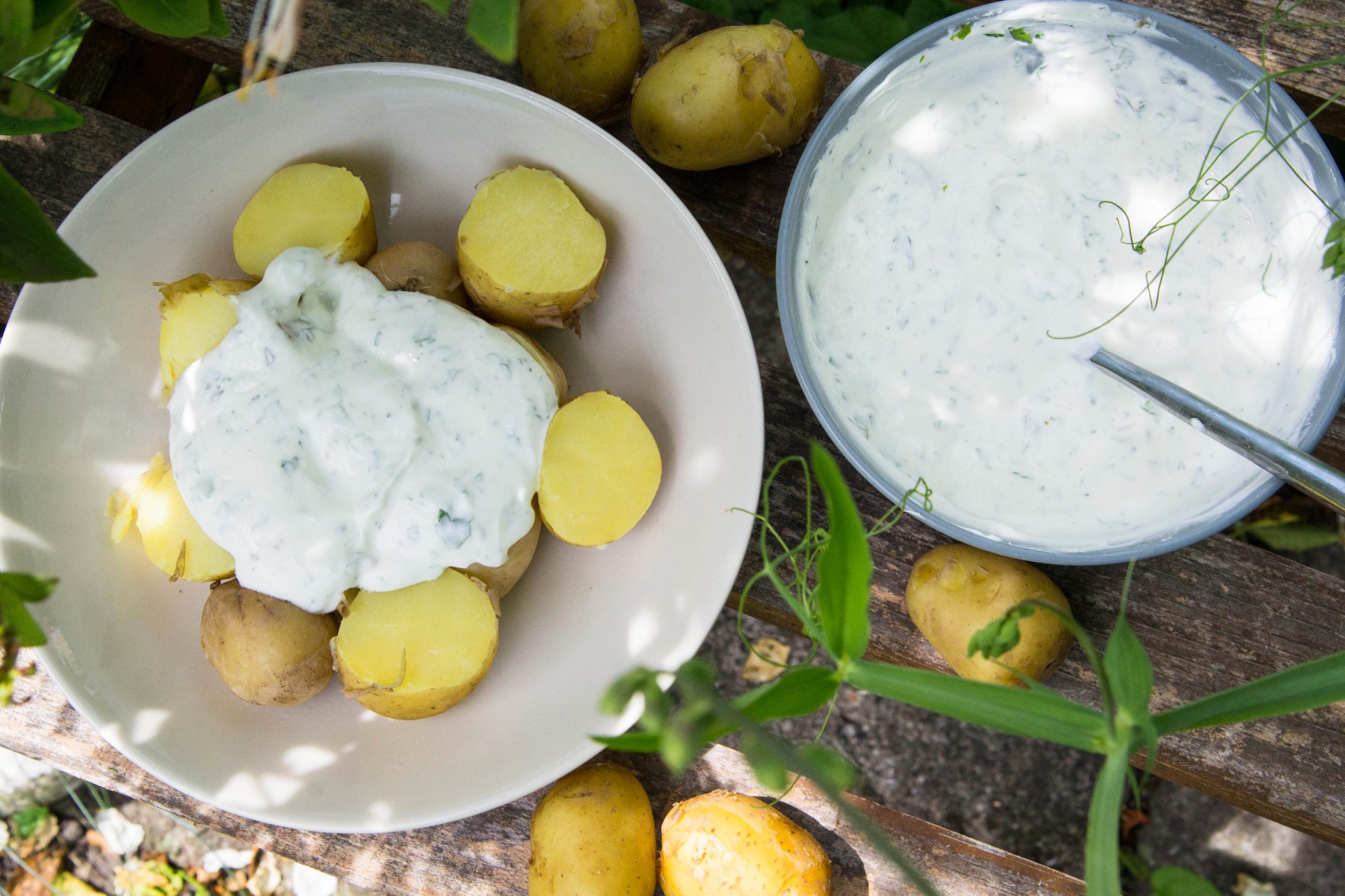 Frühkartoffeln mit Kräutertopfen