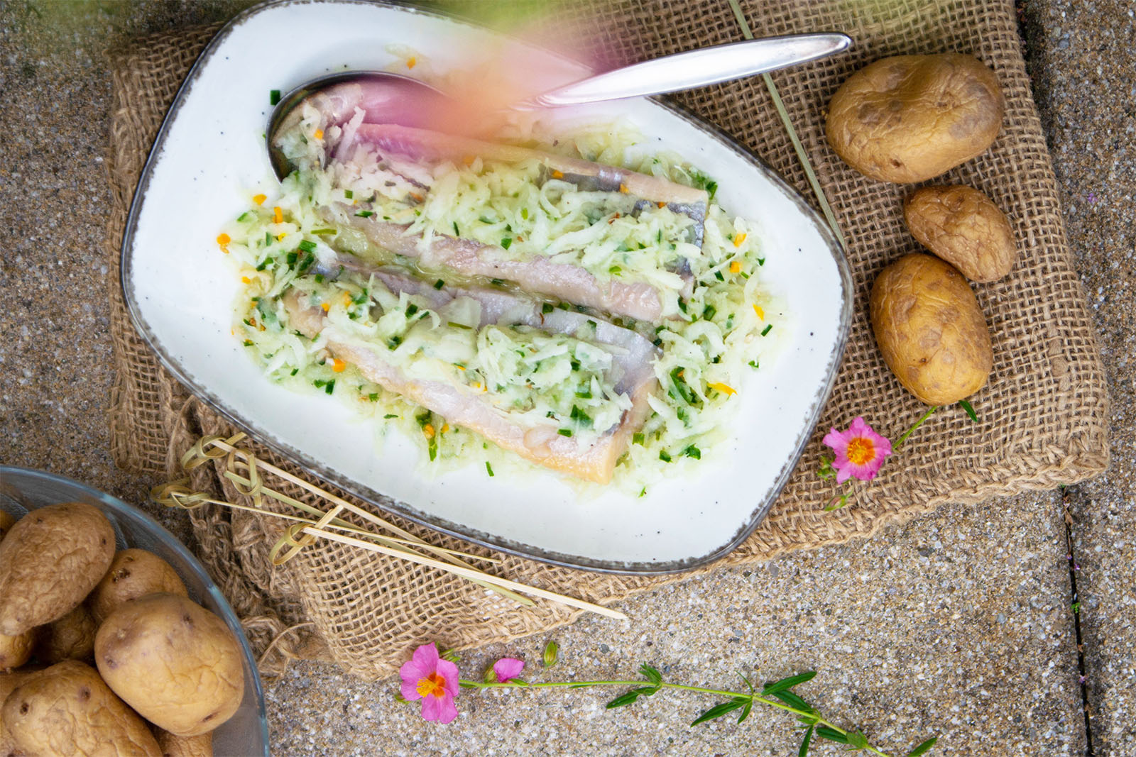 Matjesfilets mit einer Bierrettich-Ingwer-Marinade