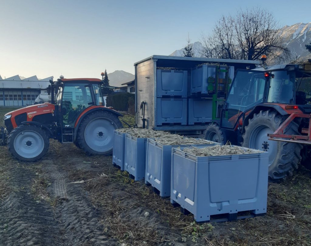 Wintervorbereitungen auf den Gemüsebaubetrieben